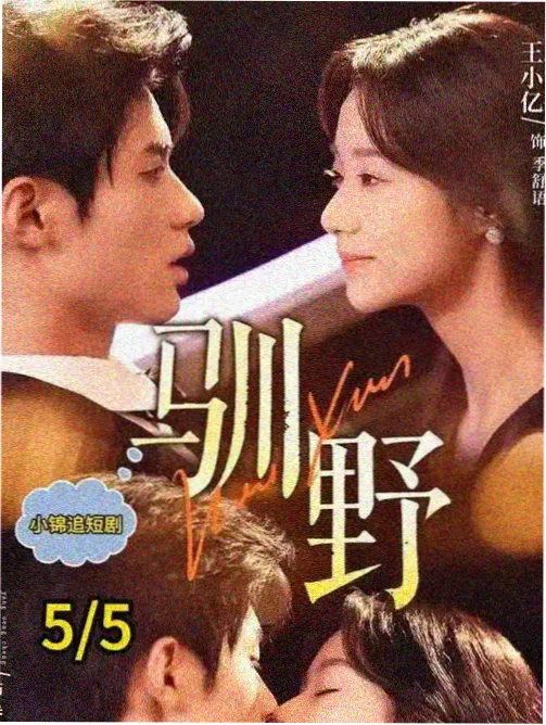 纸鸢与剑古装剧集海报